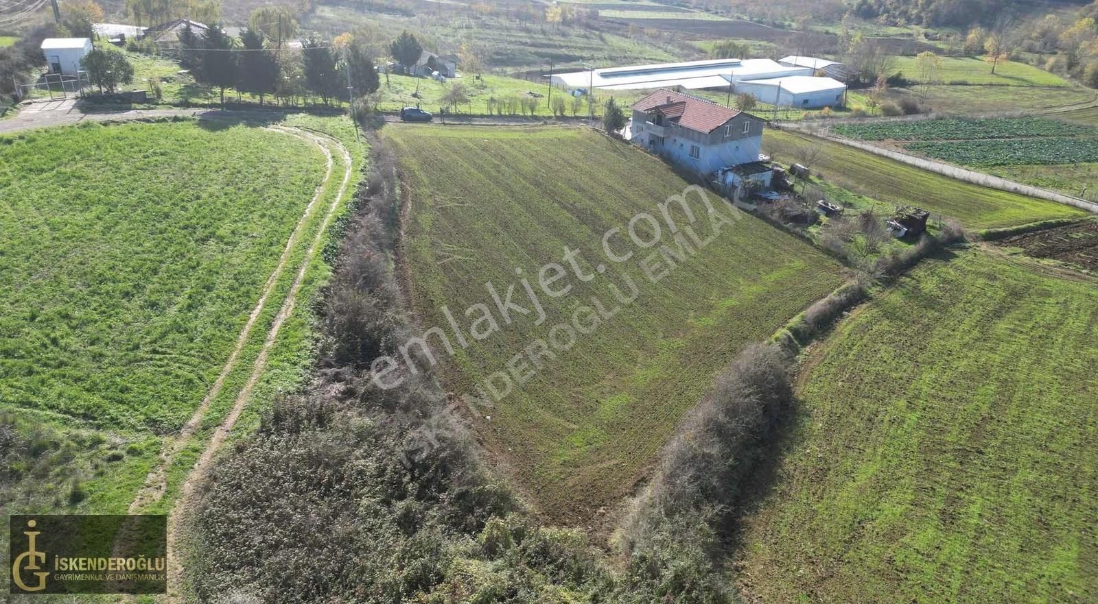 Kaynarca Uğurlu Fırsat Arazi - Görsel 7