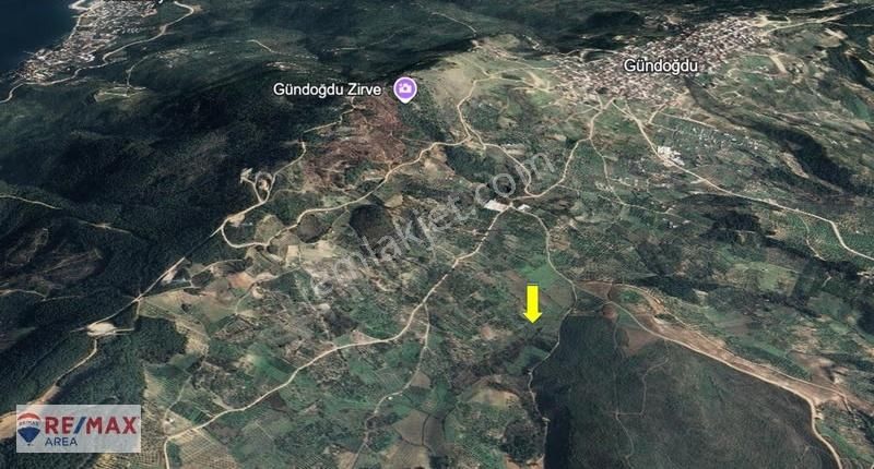Remax Area'dan Gündoğdu'da Uygun Fıyatlı Zeytınlık Yatırımı - Görsel 3