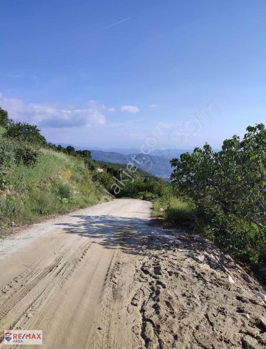 Remax Area Dan Şahinyurdu Köy İçi İmarlı Yola Cephe 824 M2 Bahçe - Görsel 16