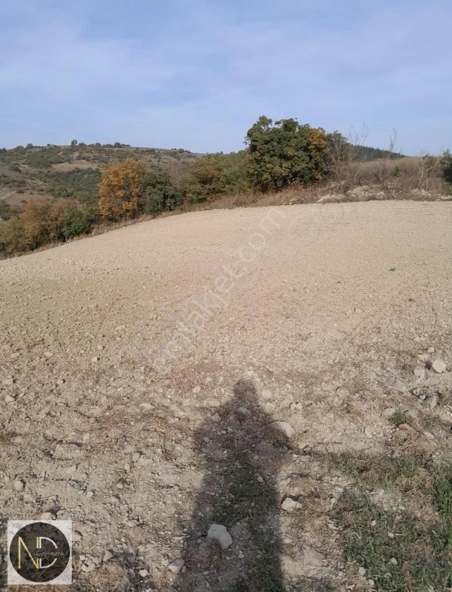 Nd Gayrimenkul'den Yenişehir Hamidiye Mh Satılık 11 Dönüm Tarla - Görsel 7