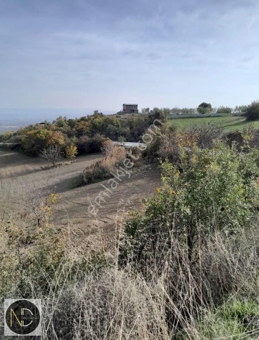 Nd Gayrimenkul'den Yenişehir Hamidiye Mh Satılık 11 Dönüm Tarla - Görsel 4