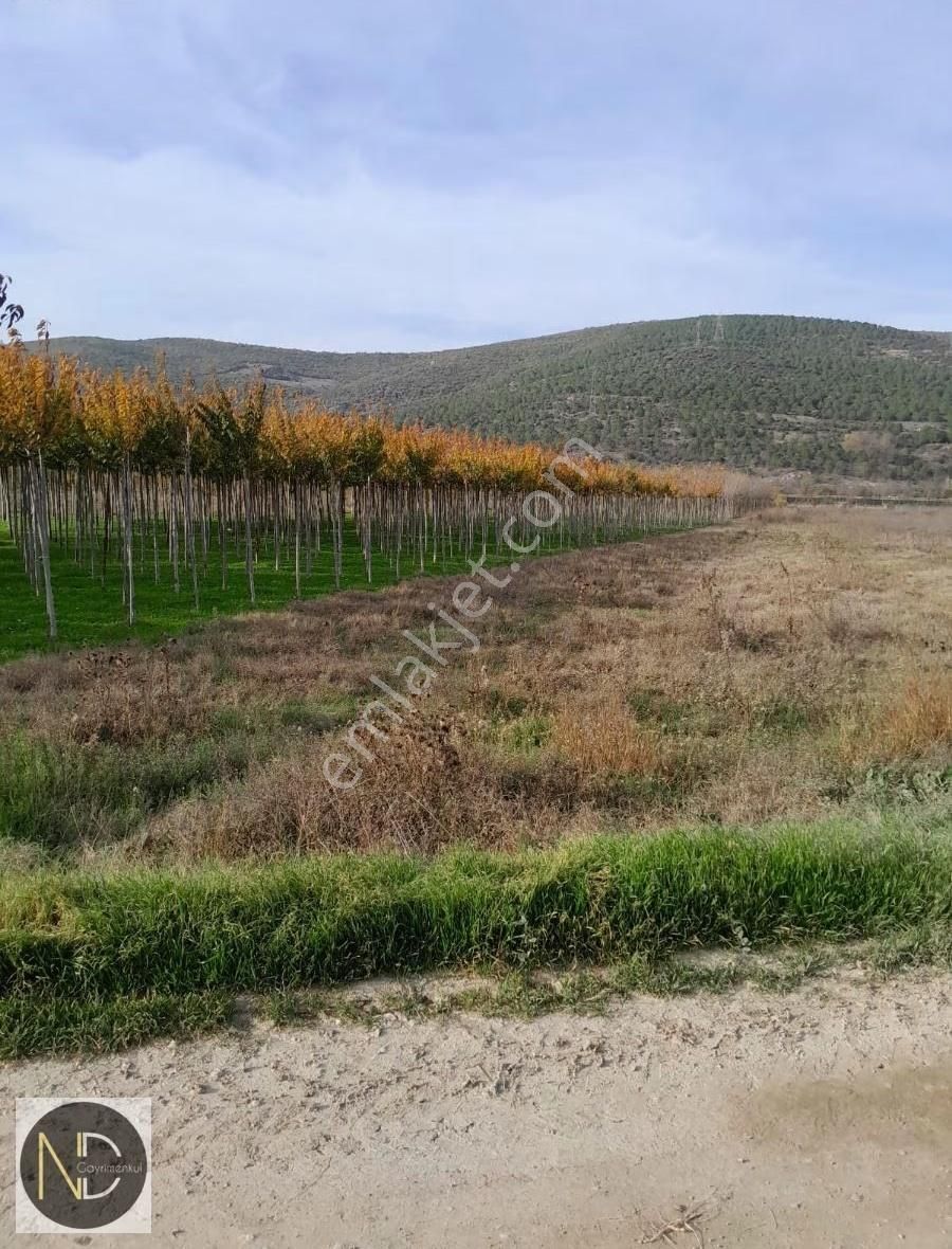 Nd Gayrimenkul'den Yenişehir Hamidiye Mh Satılık 6740 M2 Tarla - Görsel 4