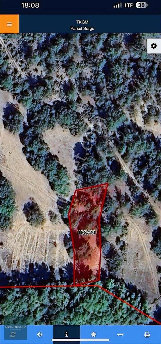 Ormana Cephe 2b Si Olan 1 Dönüm Fırsat Fiyatlı Tarla - Görsel 2