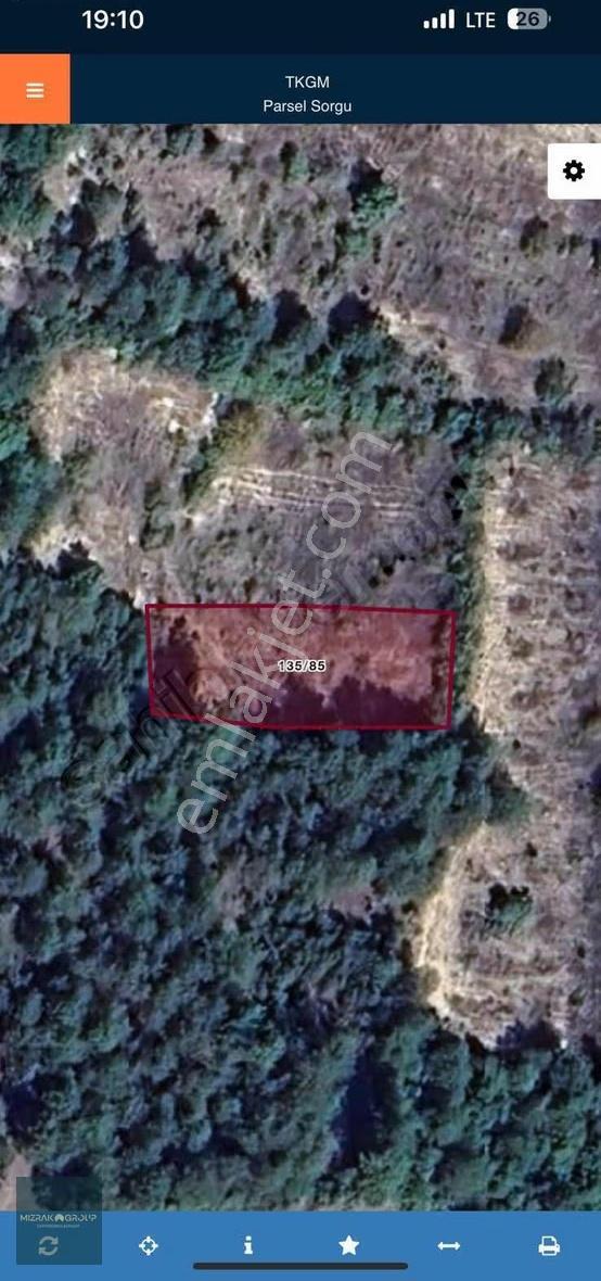Ormana Cephe 936 M2 Tek Tapu Fırsat Tarla