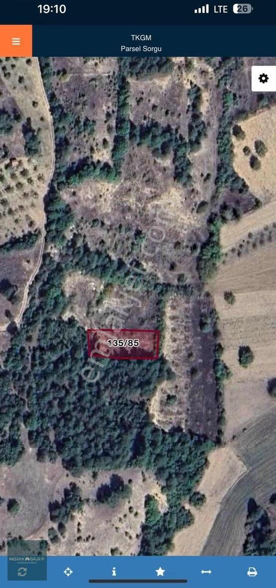 Ormana Cephe 936 M2 Tek Tapu Fırsat Tarla - Görsel 4