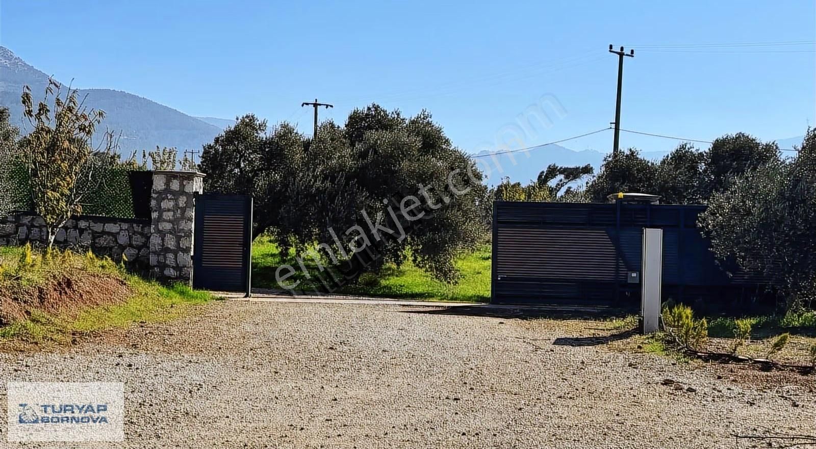 Kemalpaşa Dereköy'de Satılık Kooperatif Hissesi - Görsel 18