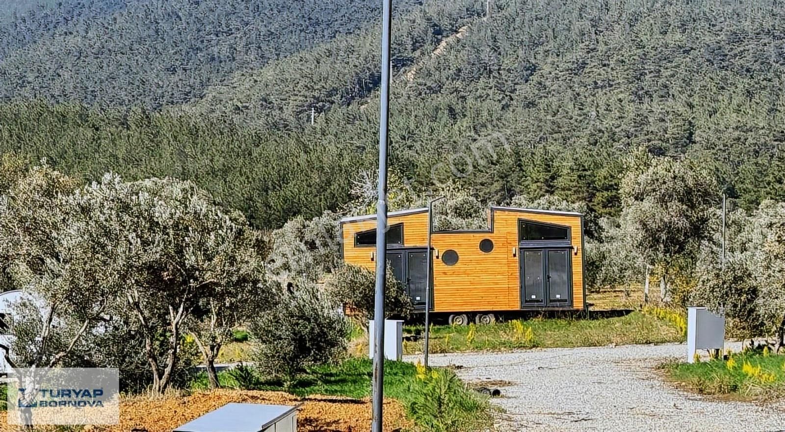 Kemalpaşa Dereköy'de Satılık Kooperatif Hissesi - Görsel 9