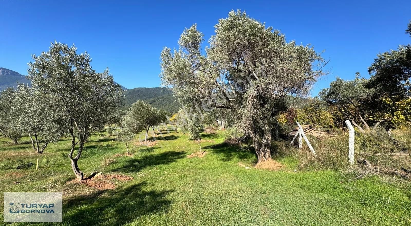 Kemalpaşa Dereköy'de Satılık Kooperatif Hissesi - Görsel 10