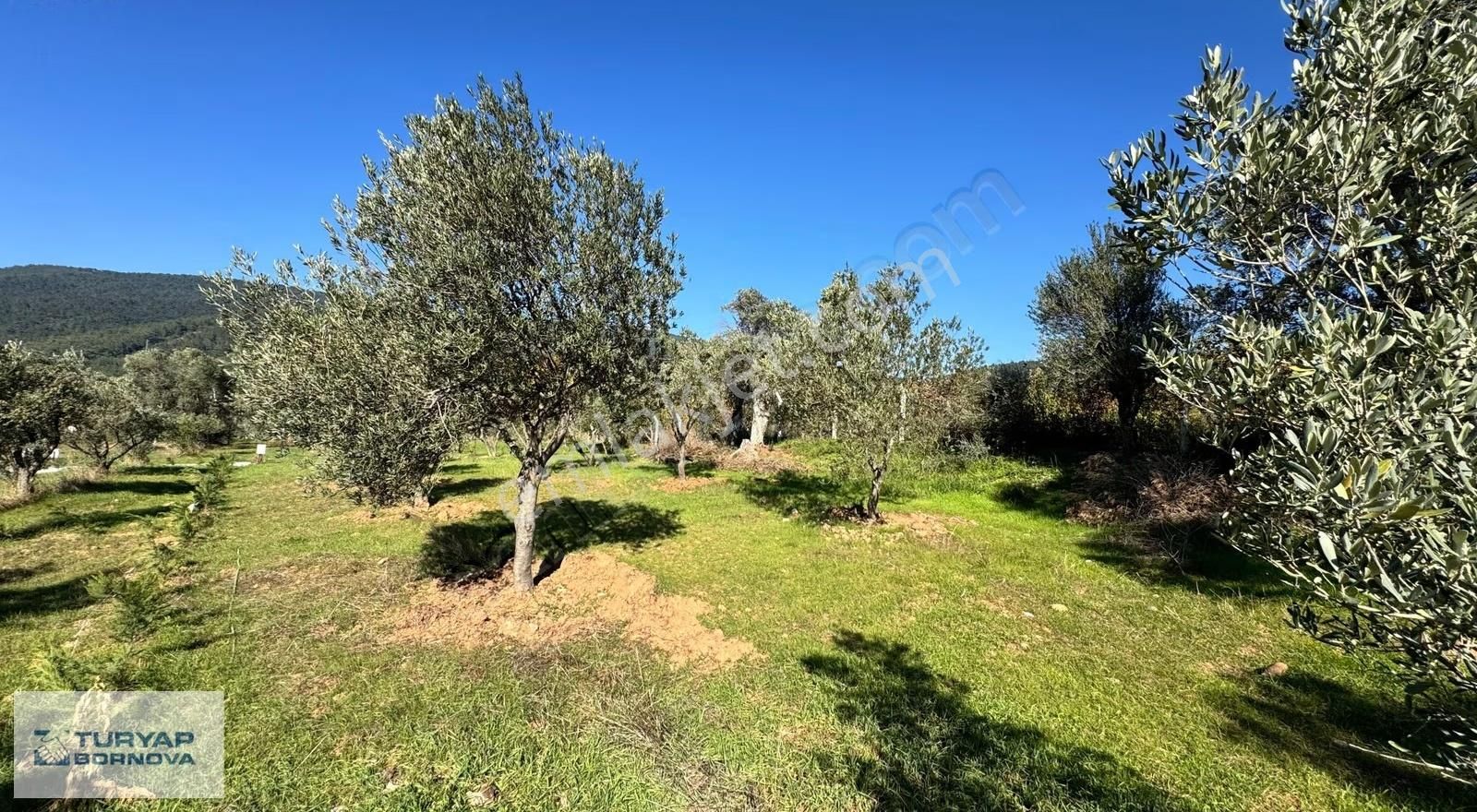 Kemalpaşa Dereköy'de Satılık Kooperatif Hissesi - Görsel 26