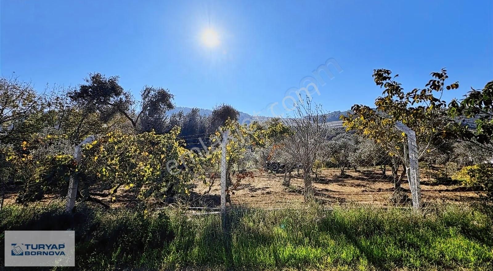 İzmir Torbalı Karakızlar'da Satılık Kooperatif Hissesi - Görsel 12