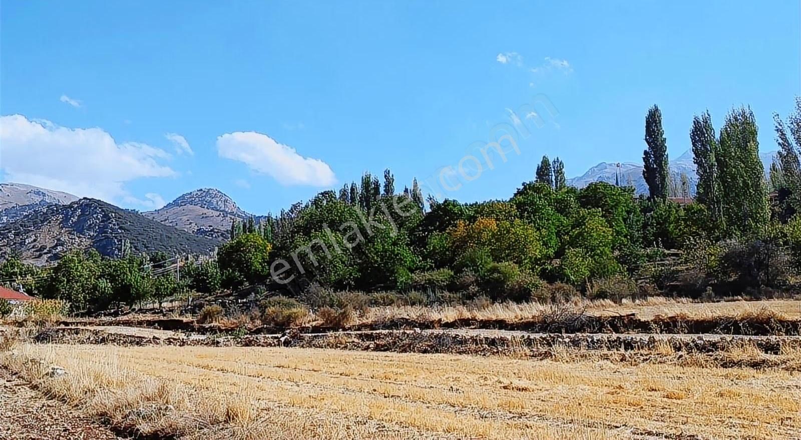 Acil Satılık Seydikemer Seki- Temel Mah.( Ev-yol-su- Elektrik ) - Görsel 20