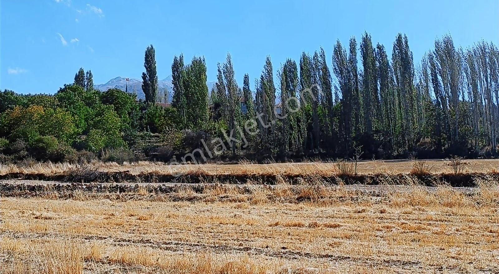 Acil Satılık Seydikemer Seki- Temel Mah.( Ev-yol-su- Elektrik ) - Görsel 14