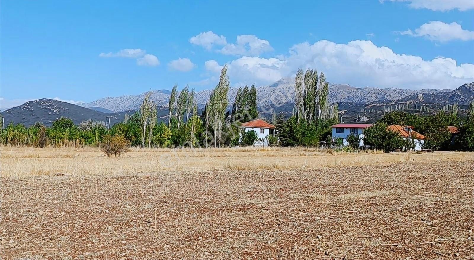 Acil Satılık Seydikemer Seki- Temel Mah.( Ev-yol-su- Elektrik ) - Görsel 13