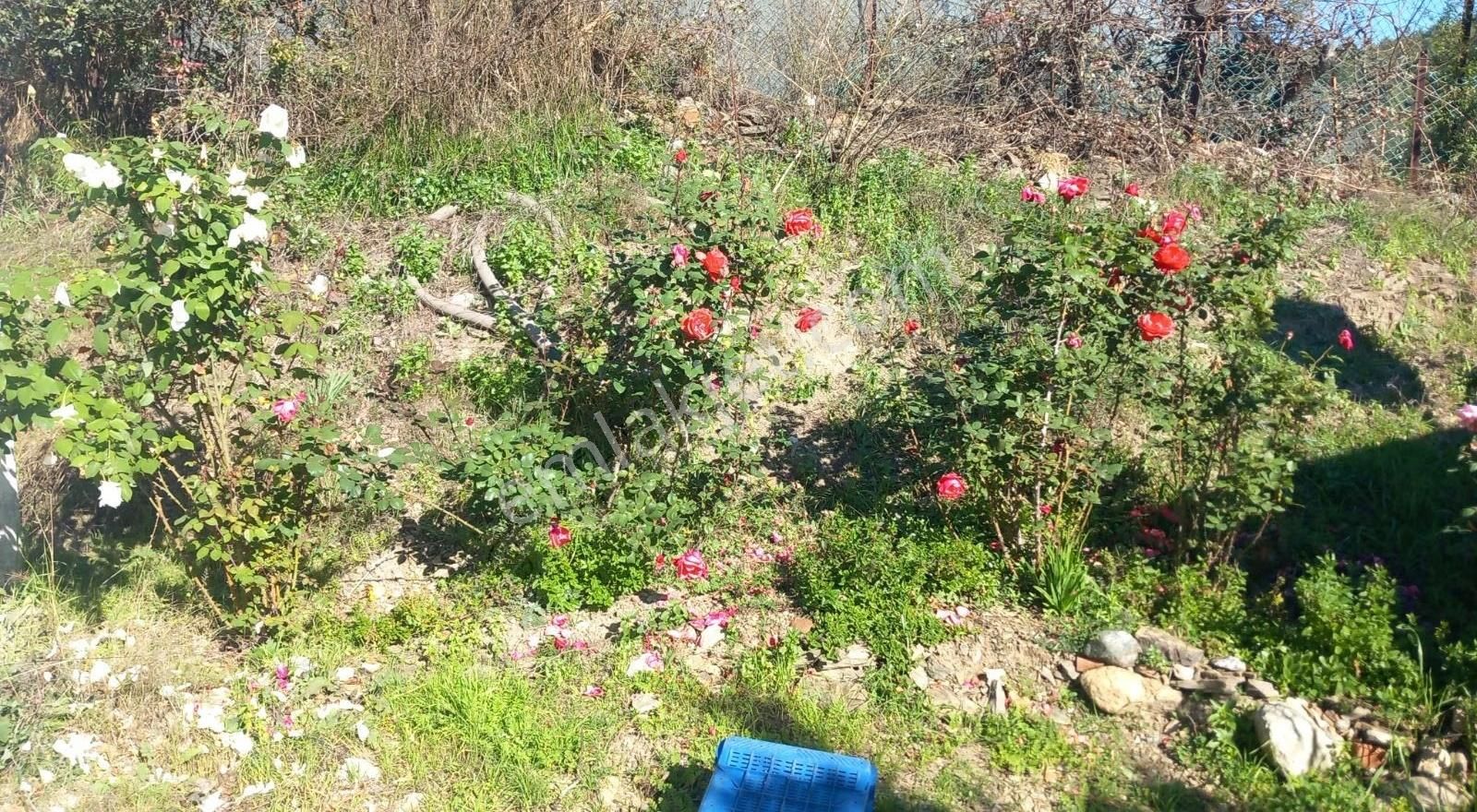 Gökova Kızılyaka Mahallesinde Satılık Arsa - Görsel 8