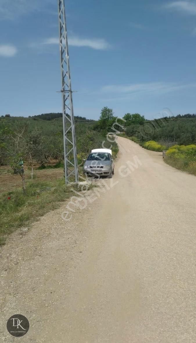 Trilye'de Yola Cephe İçinde Bakımlı Meyve Ağaçları Bulunan Tarla - Görsel 25