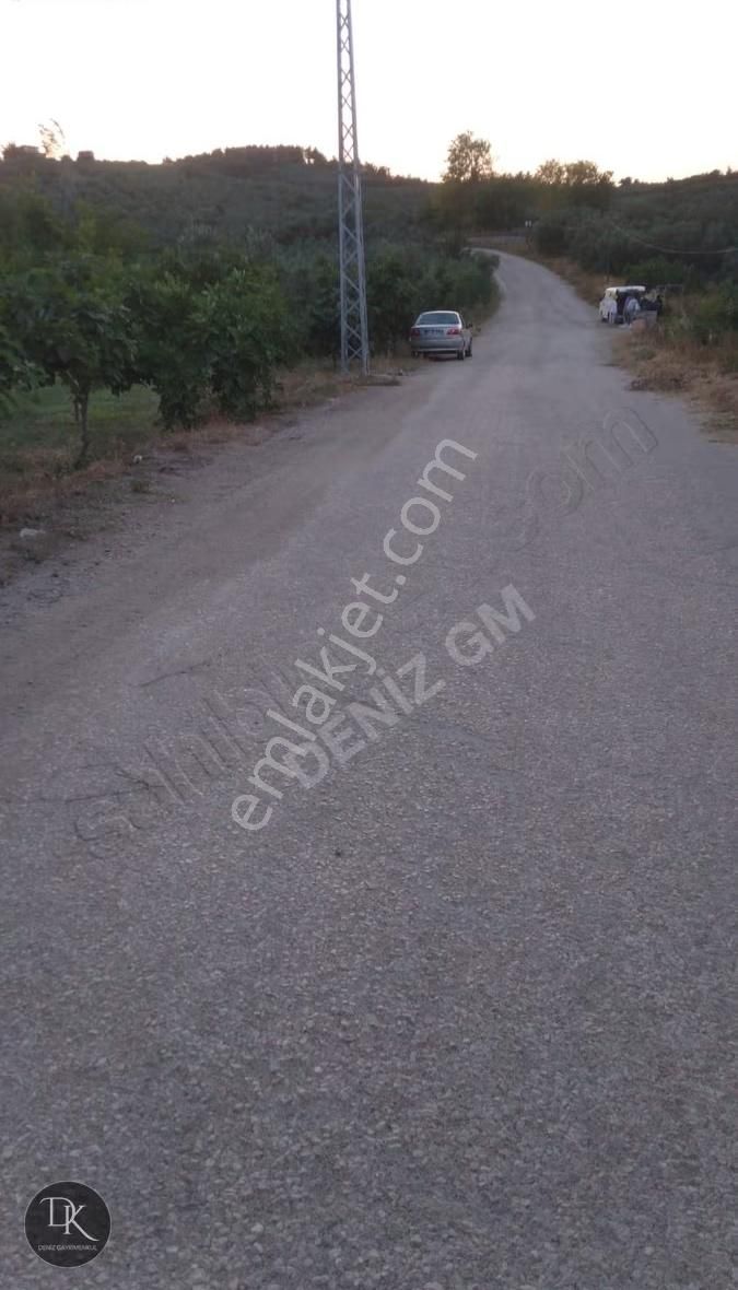 Trilye'de Yola Cephe İçinde Bakımlı Meyve Ağaçları Bulunan Tarla - Görsel 5