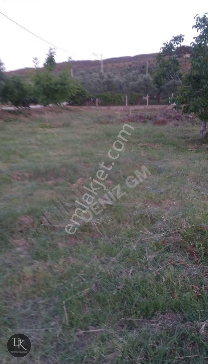 Trilye'de Yola Cephe İçinde Bakımlı Meyve Ağaçları Bulunan Tarla - Görsel 2