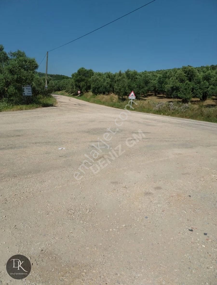 Trilye'de Yola Cephe İçinde Bakımlı Meyve Ağaçları Bulunan Tarla