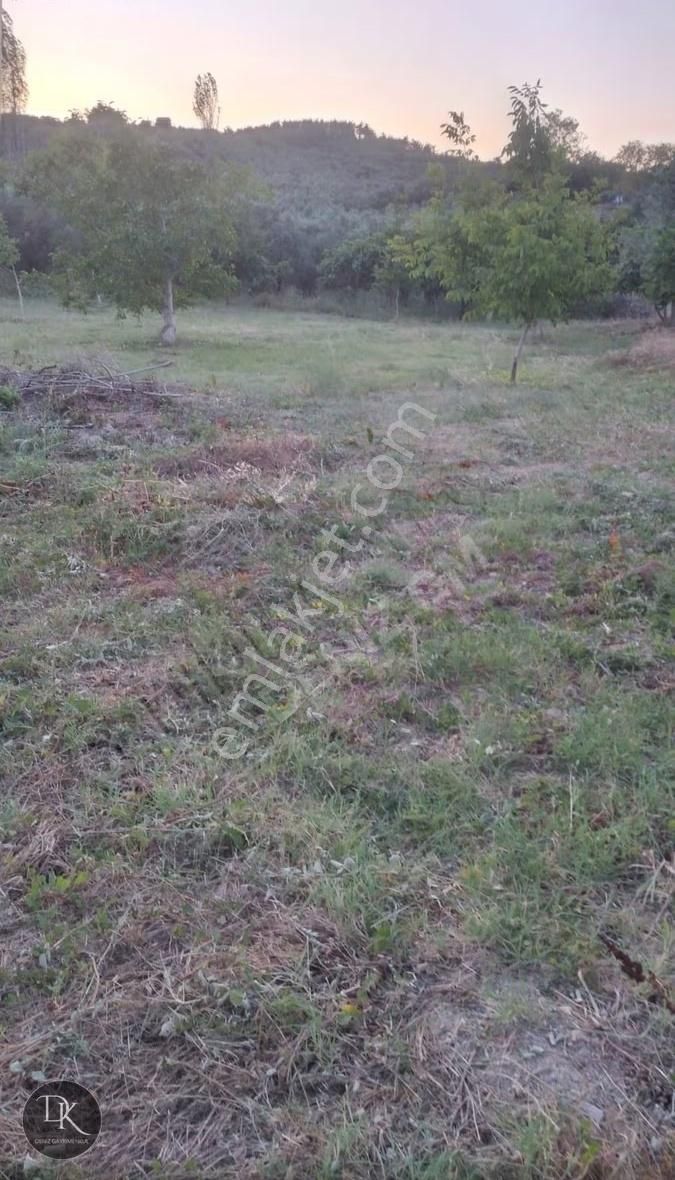 Trilye'de Yola Cephe İçinde Bakımlı Meyve Ağaçları Bulunan Tarla - Görsel 8