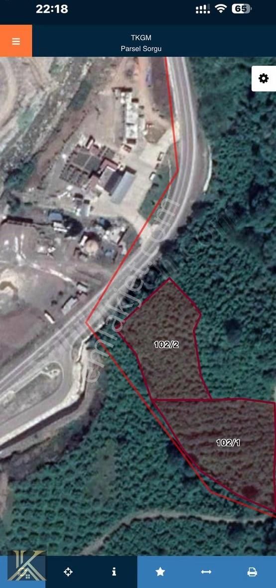 Kumru İslamdağ Yoluna Cephe 6 Dönüm Satılık Fındık Bahçesi - Görsel 8