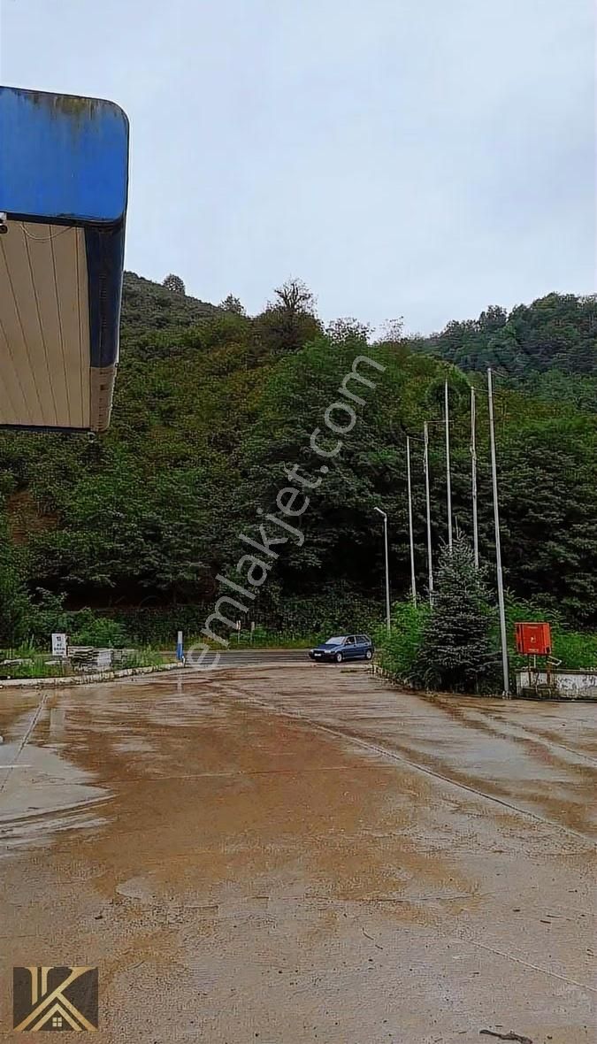 Kumru İslamdağ Yoluna Cephe 6 Dönüm Satılık Fındık Bahçesi - Görsel 13