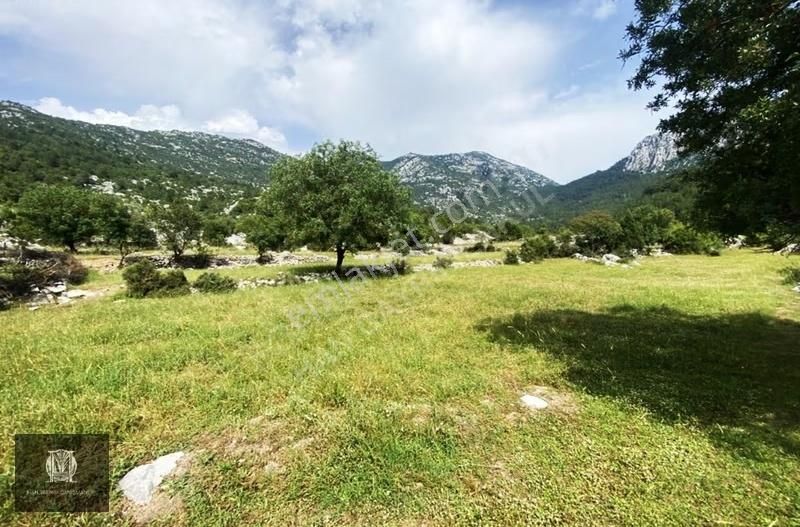 Han'dan Akseki Mahmutlu'da Köy İçi Fırsat Yatırımlık 656m2 Tarla