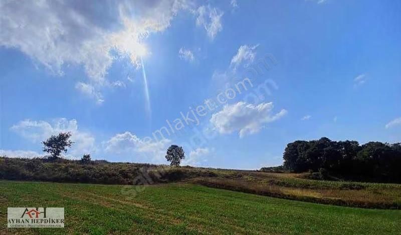 Adapazarı Küçükhataplıda 1248m2 Yatırımlık Fırsat Tarla - Görsel 9