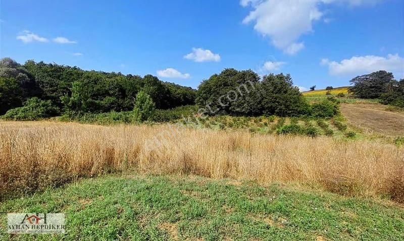 Adapazarı Küçükhataplıda 1248m2 Yatırımlık Fırsat Tarla - Görsel 8