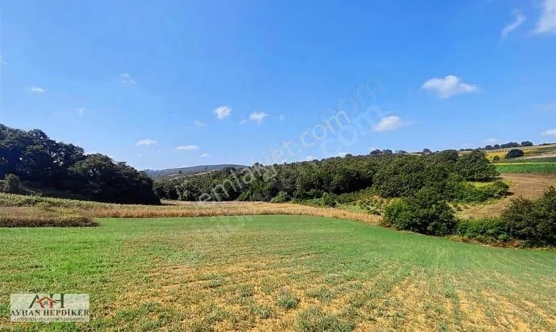 Adapazarı Küçükhataplıda 1248m2 Yatırımlık Fırsat Tarla - Görsel 3