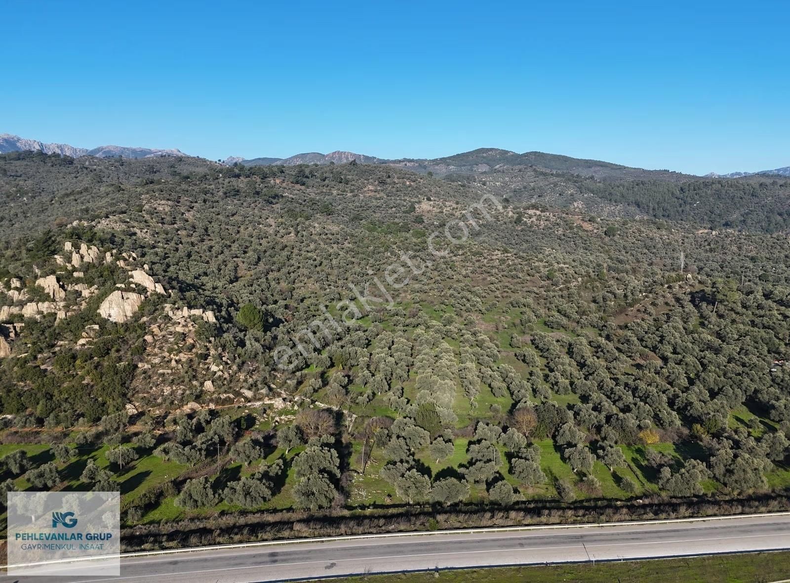 Milas Danişment 467m² Zeytinli Tarla, Yolasıfır Yatırım Fırsatı - Görsel 4