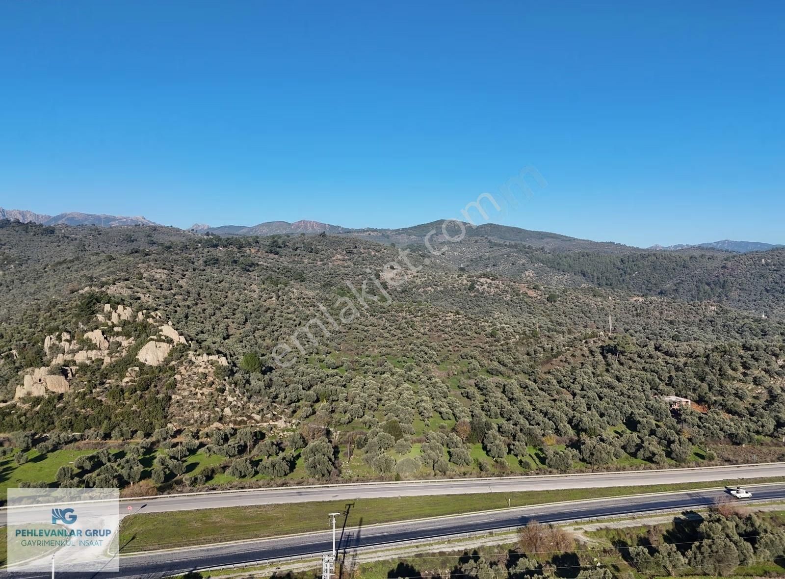 Milas Danişment 467m² Zeytinli Tarla, Yolasıfır Yatırım Fırsatı - Görsel 8