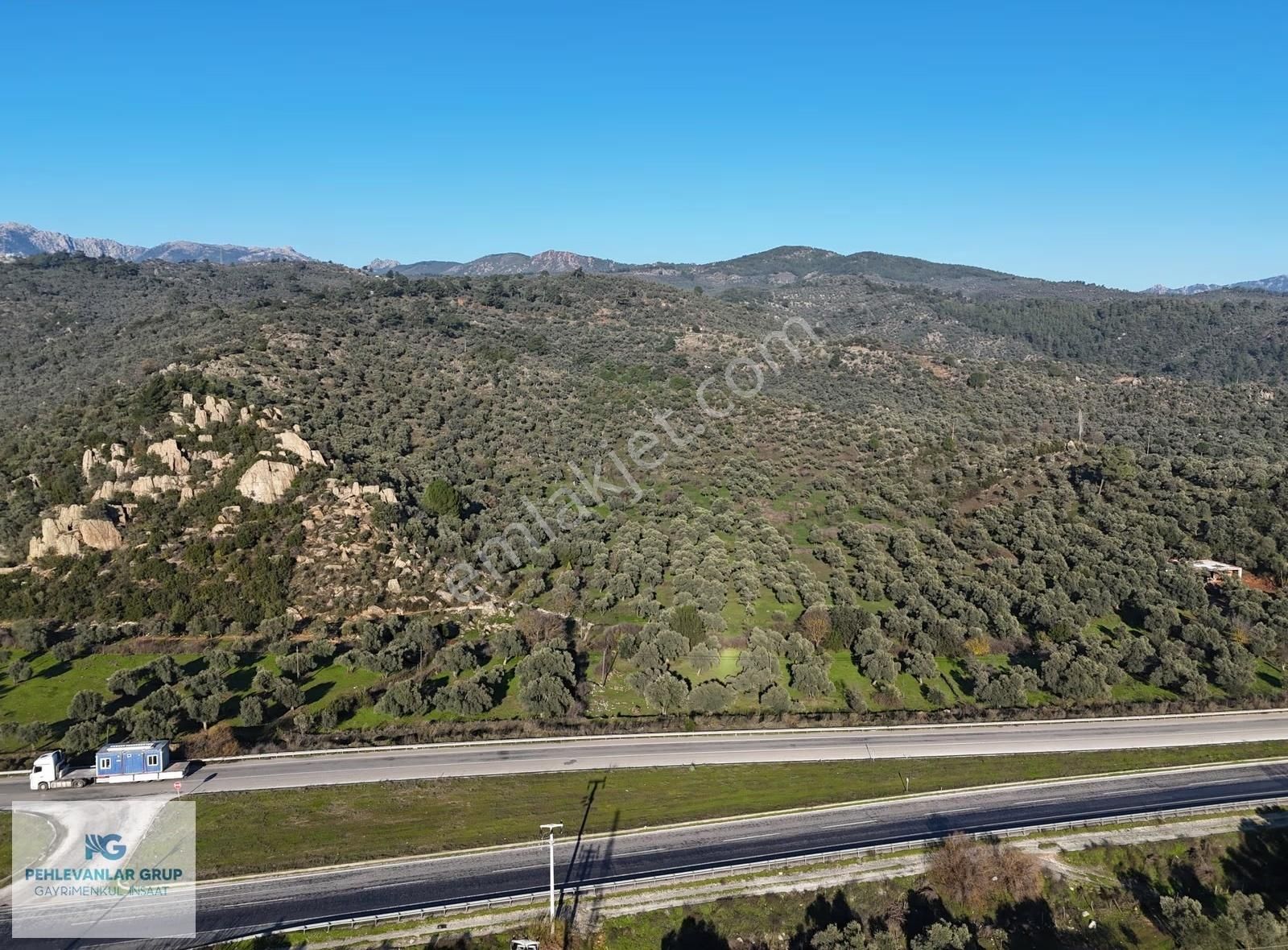 Milas Danişment 467m² Zeytinli Tarla, Yolasıfır Yatırım Fırsatı - Görsel 9