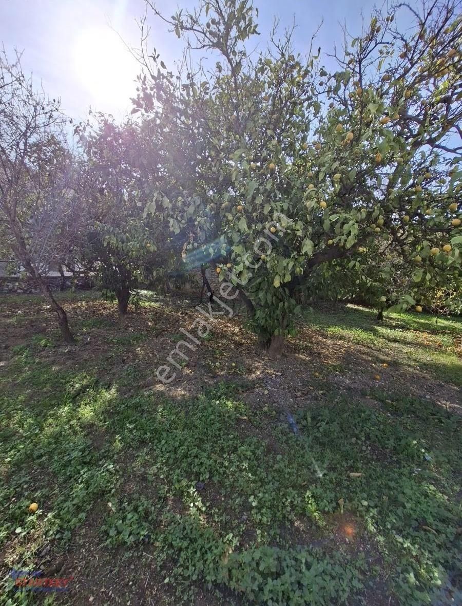 Startkey Pelit Yazı'da Satılık Çok Uygun Fıyata Bahceli Taş Ev - Görsel 25