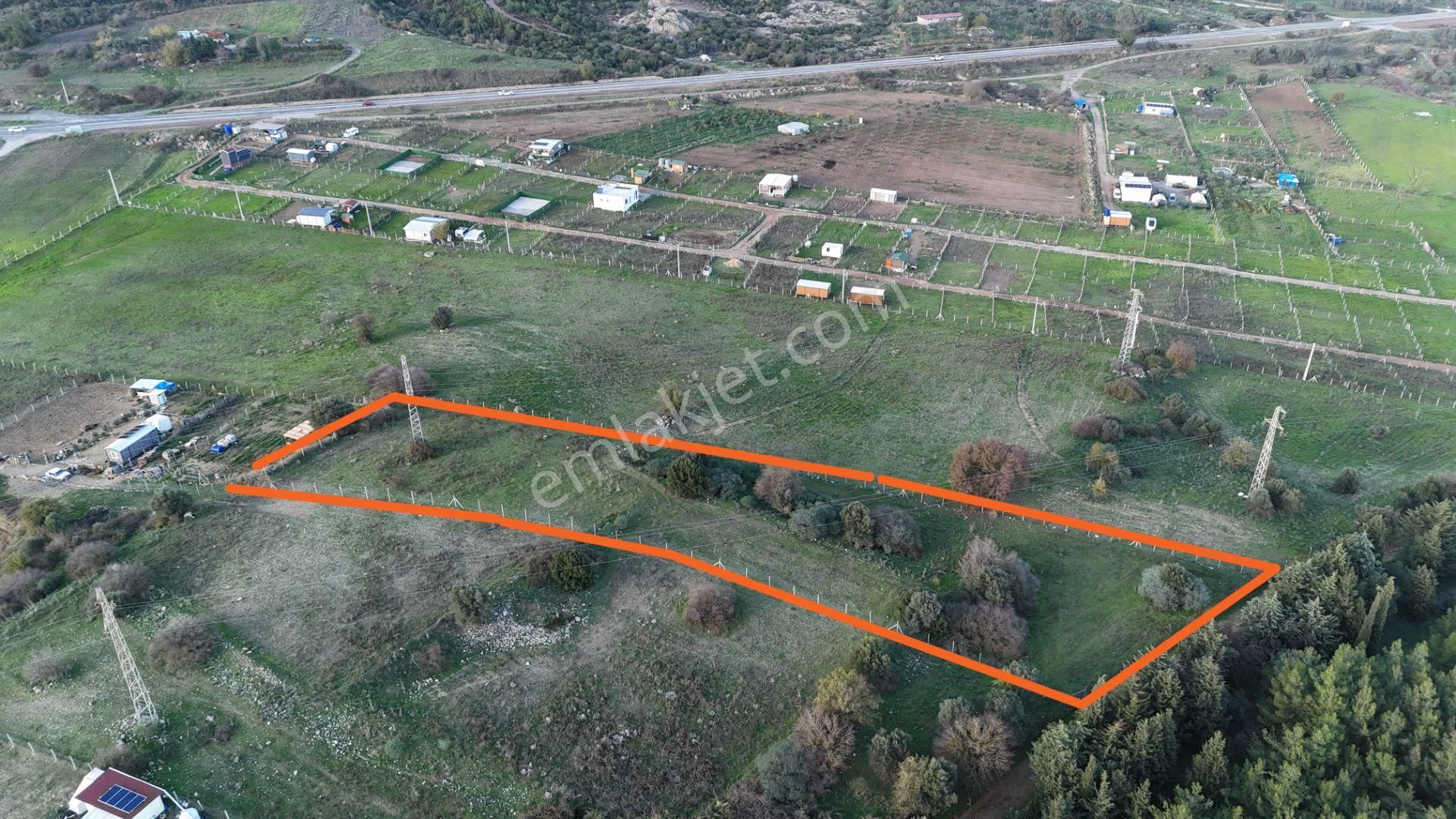 İzmir Menderes Şaşalda 4 Dönüm Taksimli Tepe Manzara Arsa - Görsel 22