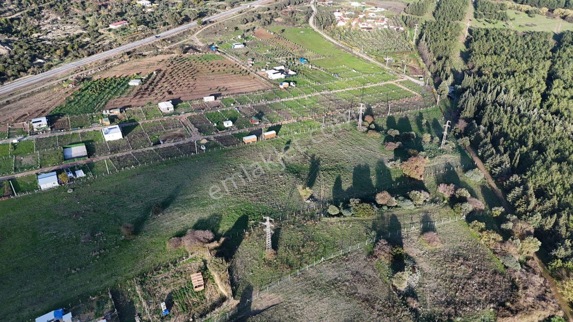 İzmir Menderes Şaşalda 4 Dönüm Taksimli Tepe Manzara Arsa - Görsel 33