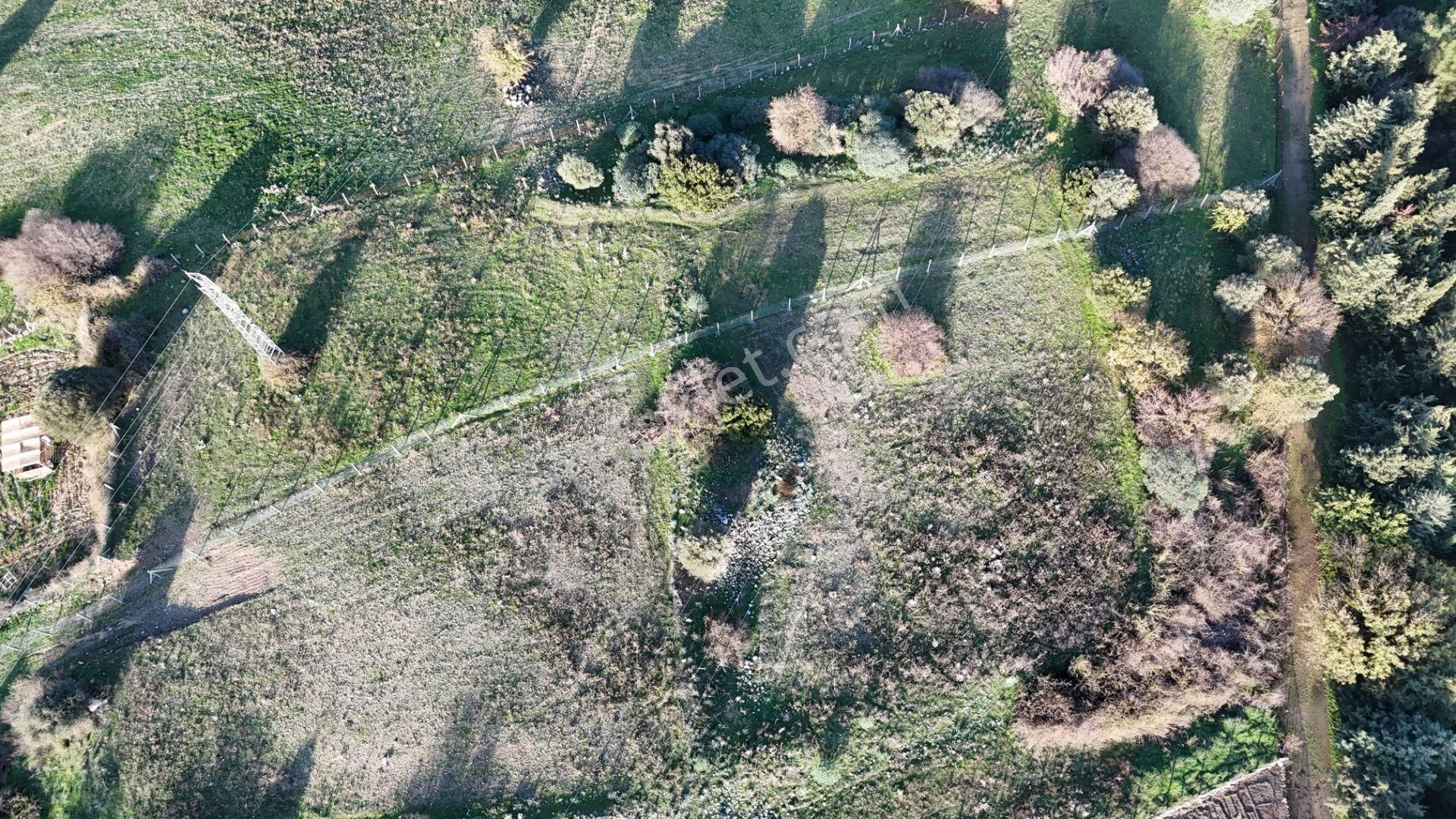 İzmir Menderes Şaşalda 4 Dönüm Taksimli Tepe Manzara Arsa - Görsel 26