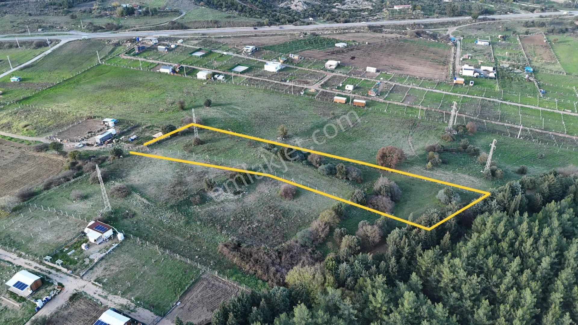 İzmir Menderes Şaşalda 4 Dönüm Taksimli Tepe Manzara Arsa - Görsel 13