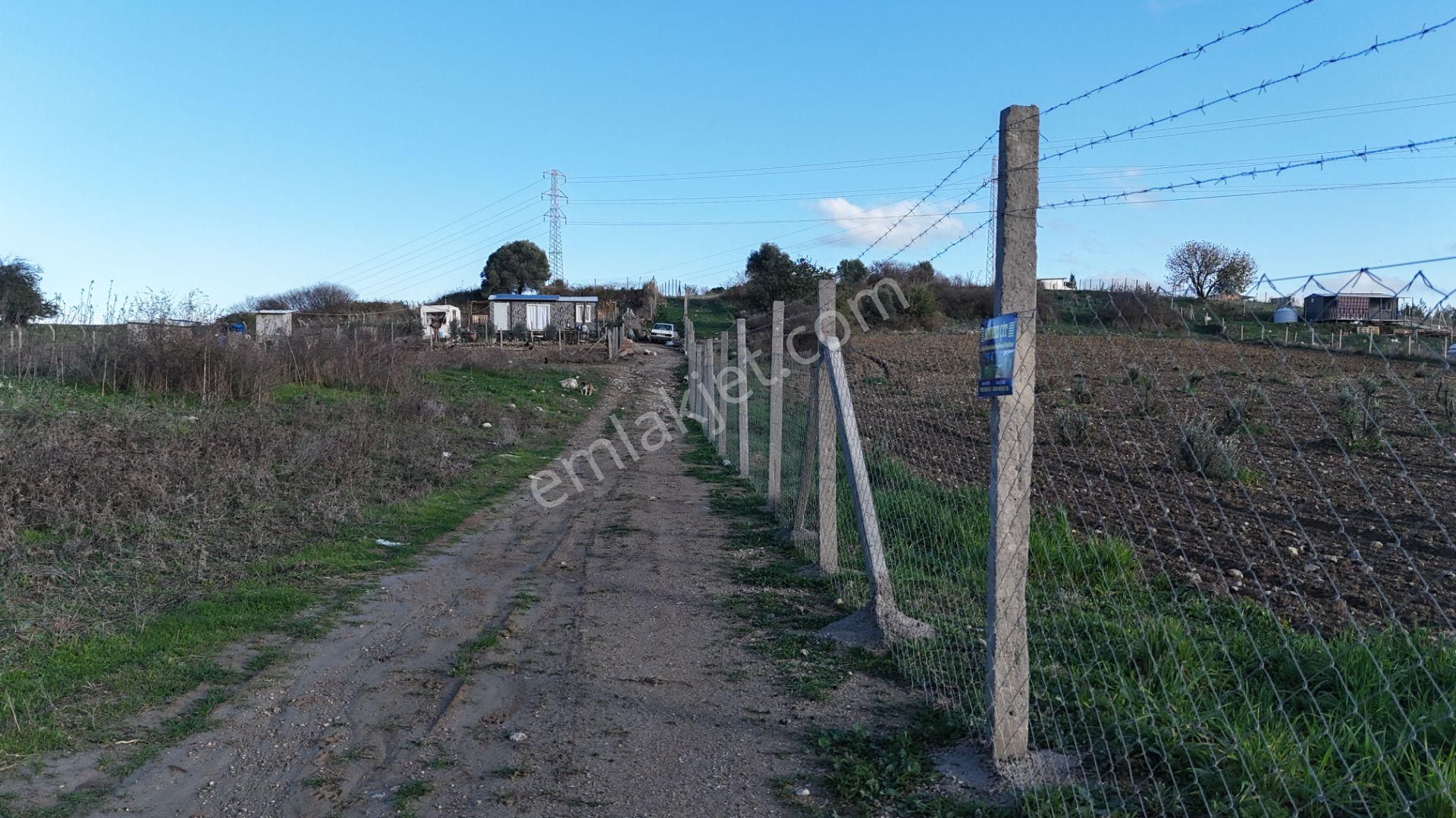İzmir Menderes Şaşalda 4 Dönüm Taksimli Tepe Manzara Arsa - Görsel 11