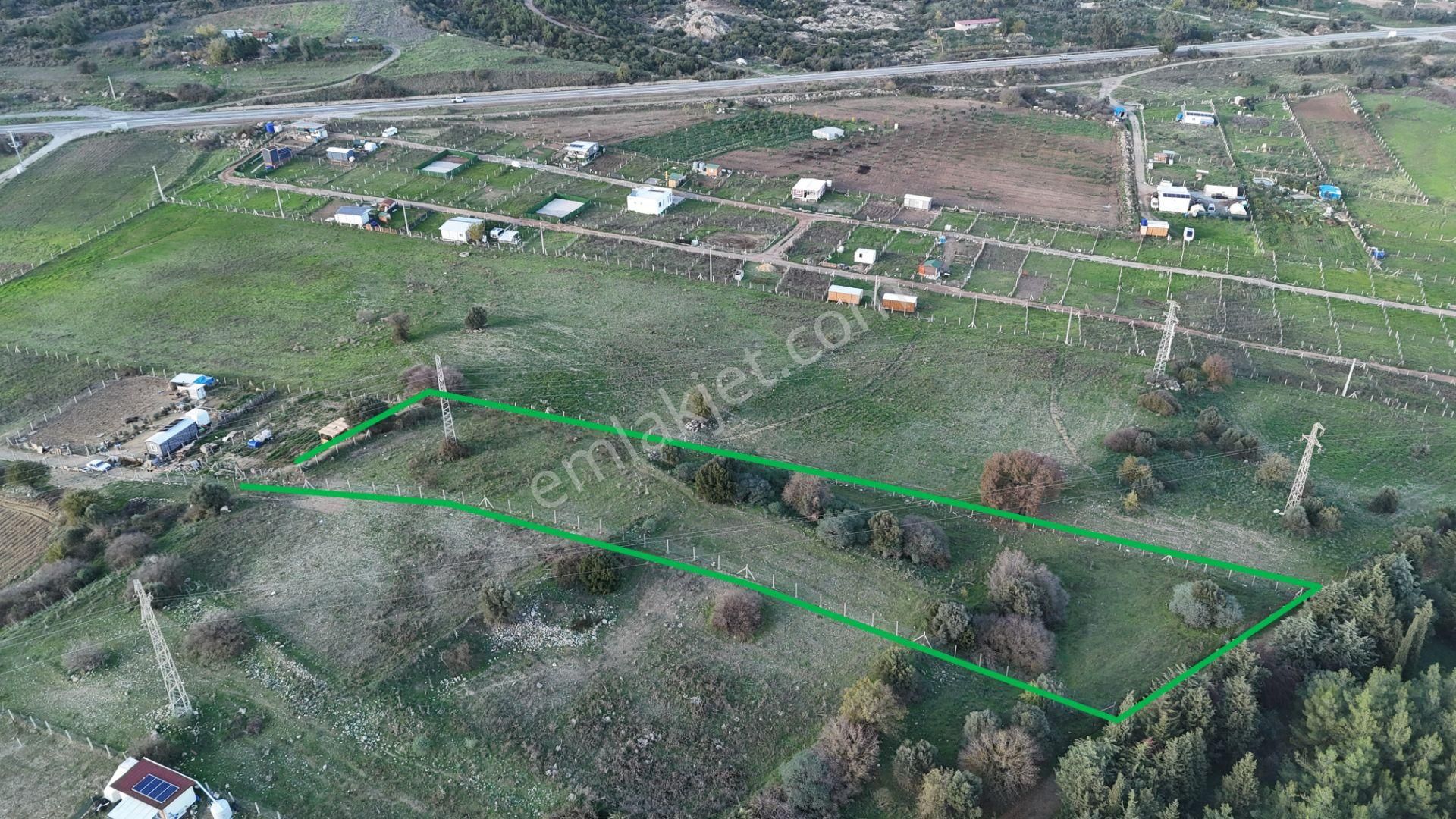 İzmir Menderes Şaşalda 4 Dönüm Taksimli Tepe Manzara Arsa - Görsel 4