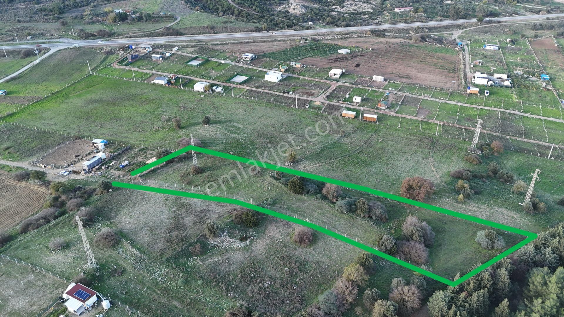 İzmir Menderes Şaşalda 4 Dönüm Taksimli Tepe Manzara Arsa - Görsel 7