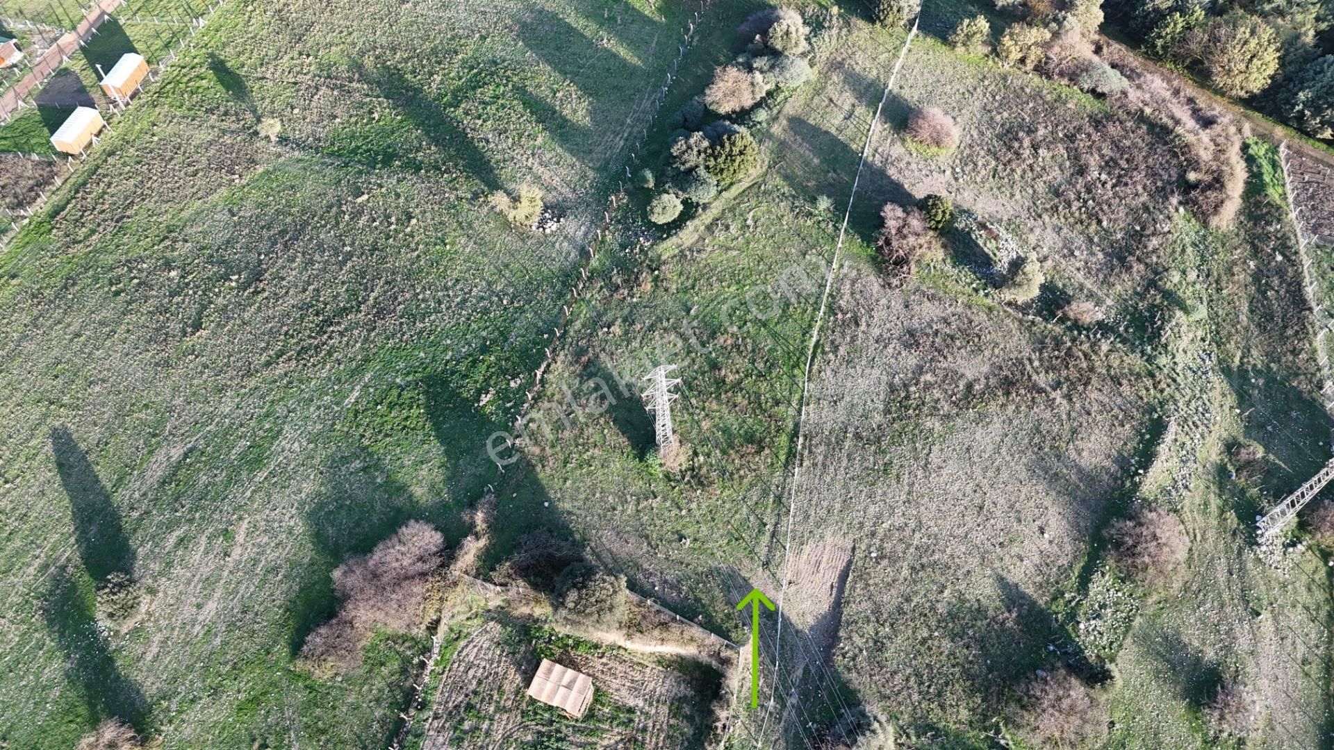 İzmir Menderes Şaşalda 4 Dönüm Taksimli Tepe Manzara Arsa - Görsel 23