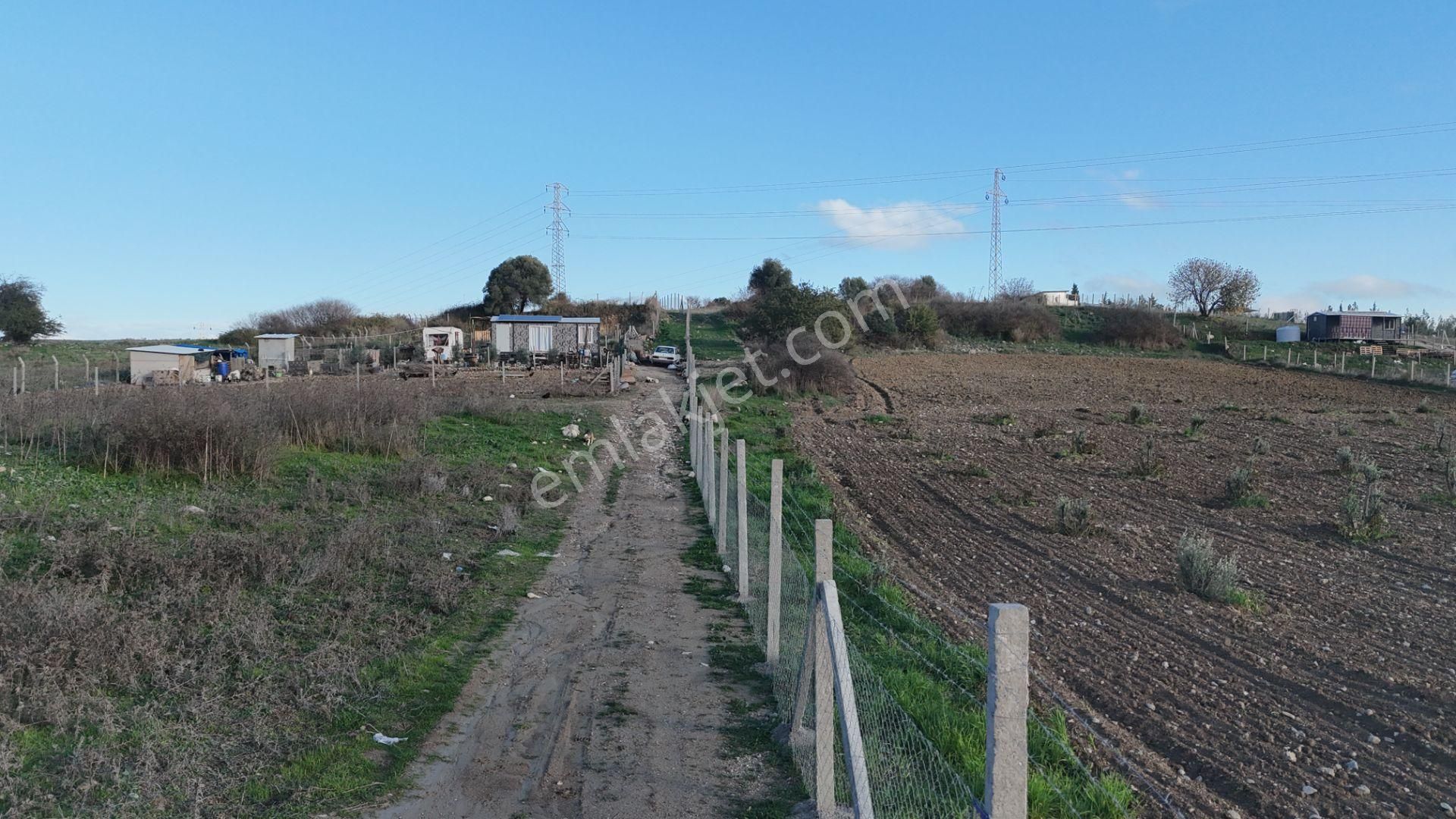 İzmir Menderes Şaşalda 4 Dönüm Taksimli Tepe Manzara Arsa - Görsel 31