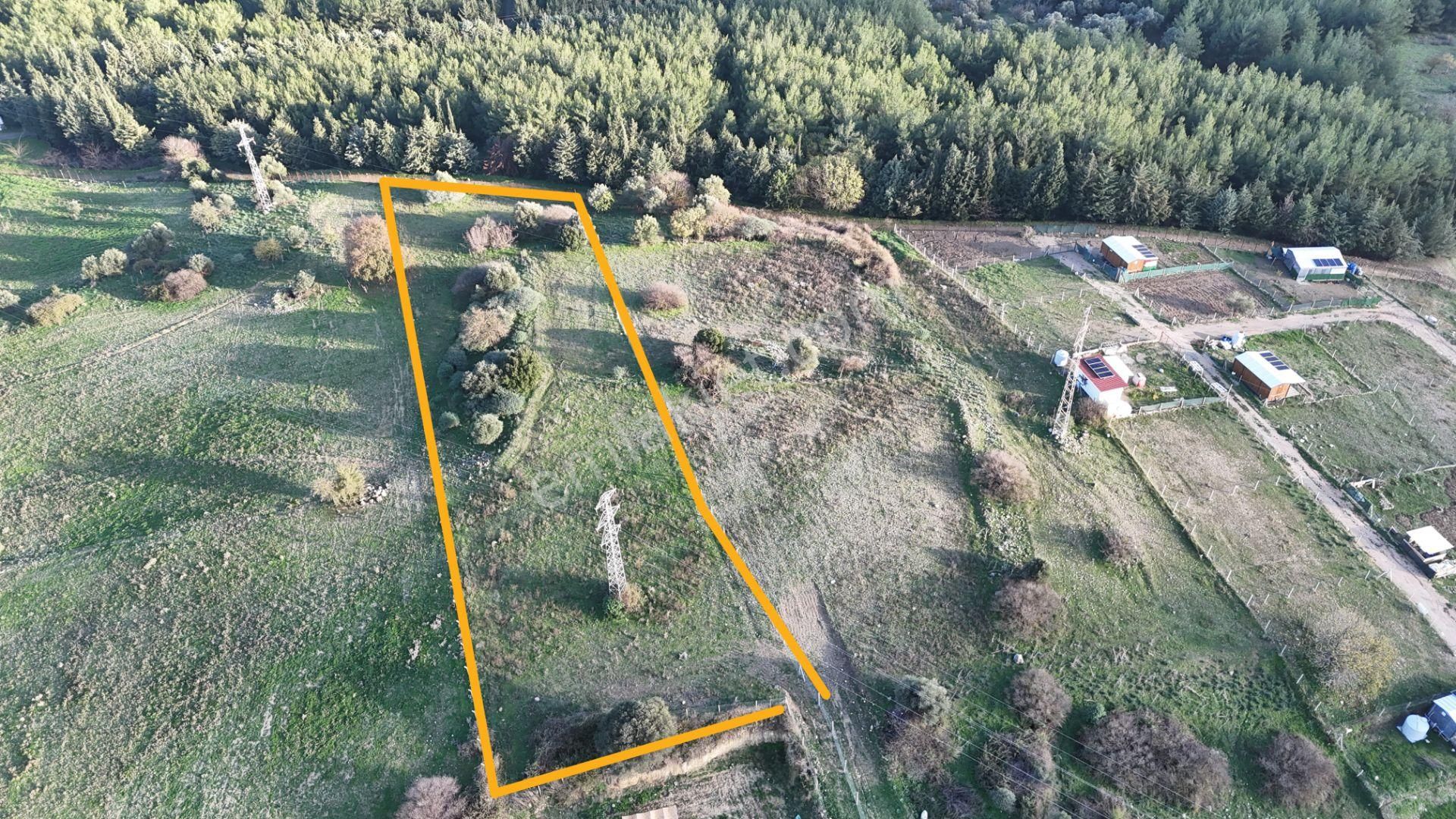 İzmir Menderes Şaşalda 4 Dönüm Taksimli Tepe Manzara Arsa - Görsel 9