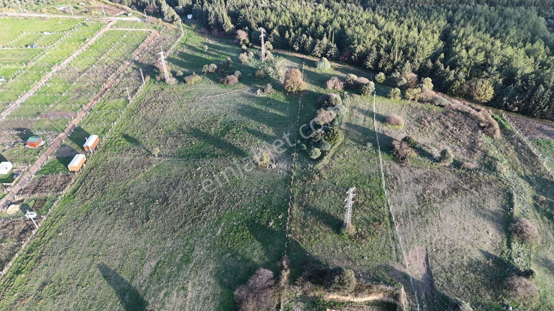İzmir Menderes Şaşalda 4 Dönüm Taksimli Tepe Manzara Arsa - Görsel 16
