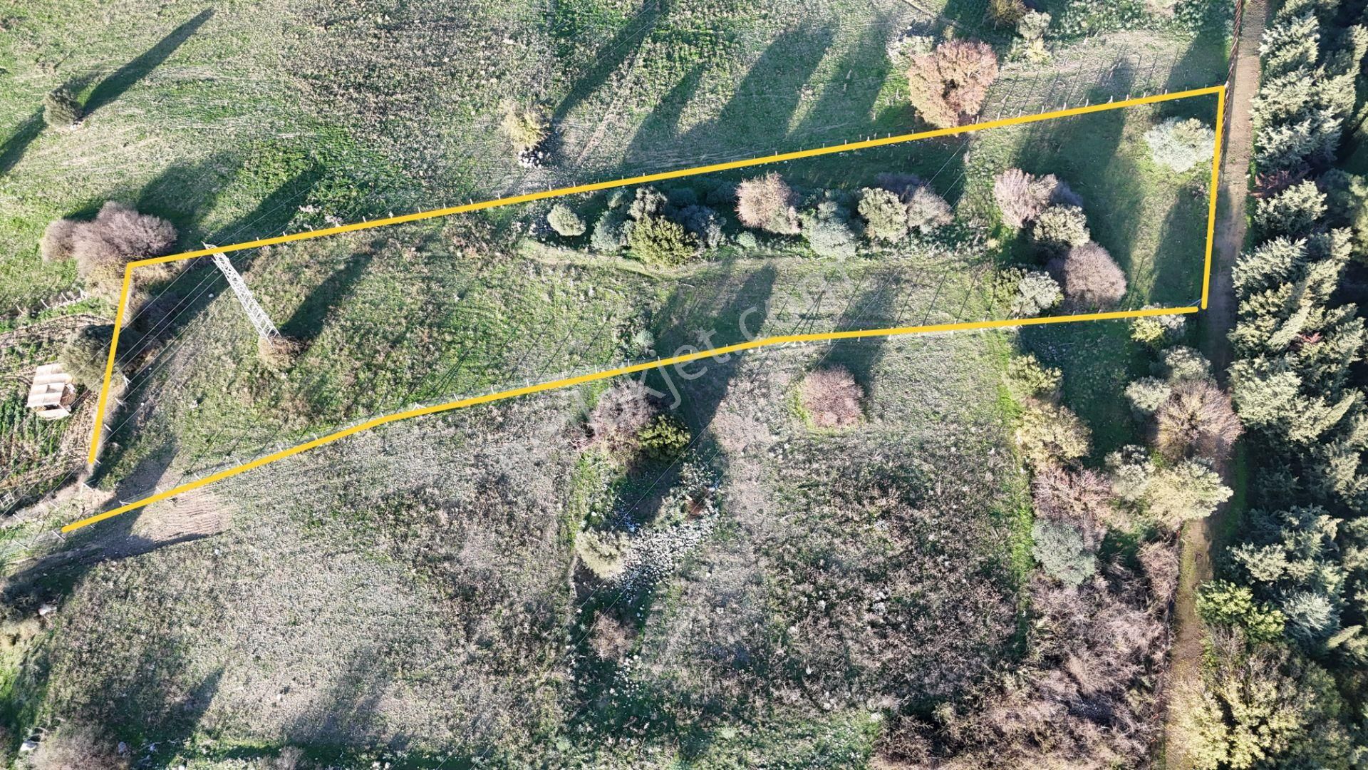 İzmir Menderes Şaşalda 4 Dönüm Taksimli Tepe Manzara Arsa - Görsel 24