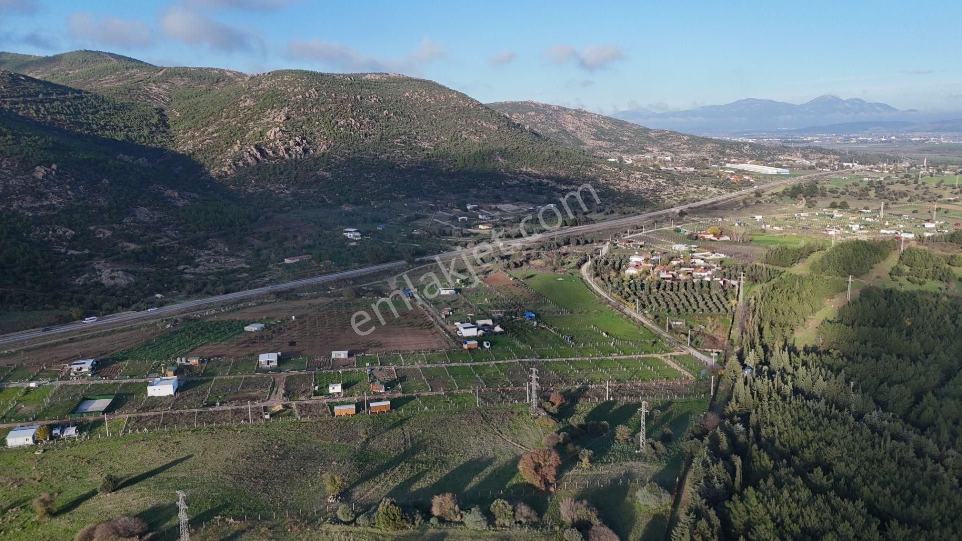 İzmir Menderes Şaşalda 4 Dönüm Taksimli Tepe Manzara Arsa - Görsel 5
