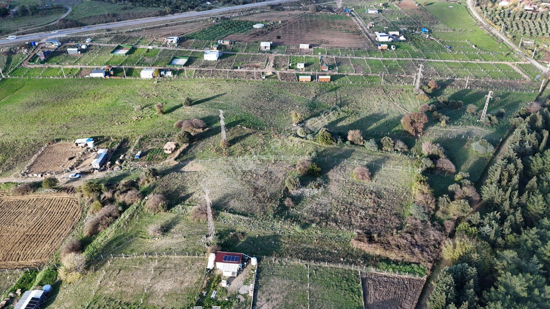 İzmir Menderes Şaşalda 4 Dönüm Taksimli Tepe Manzara Arsa - Görsel 27