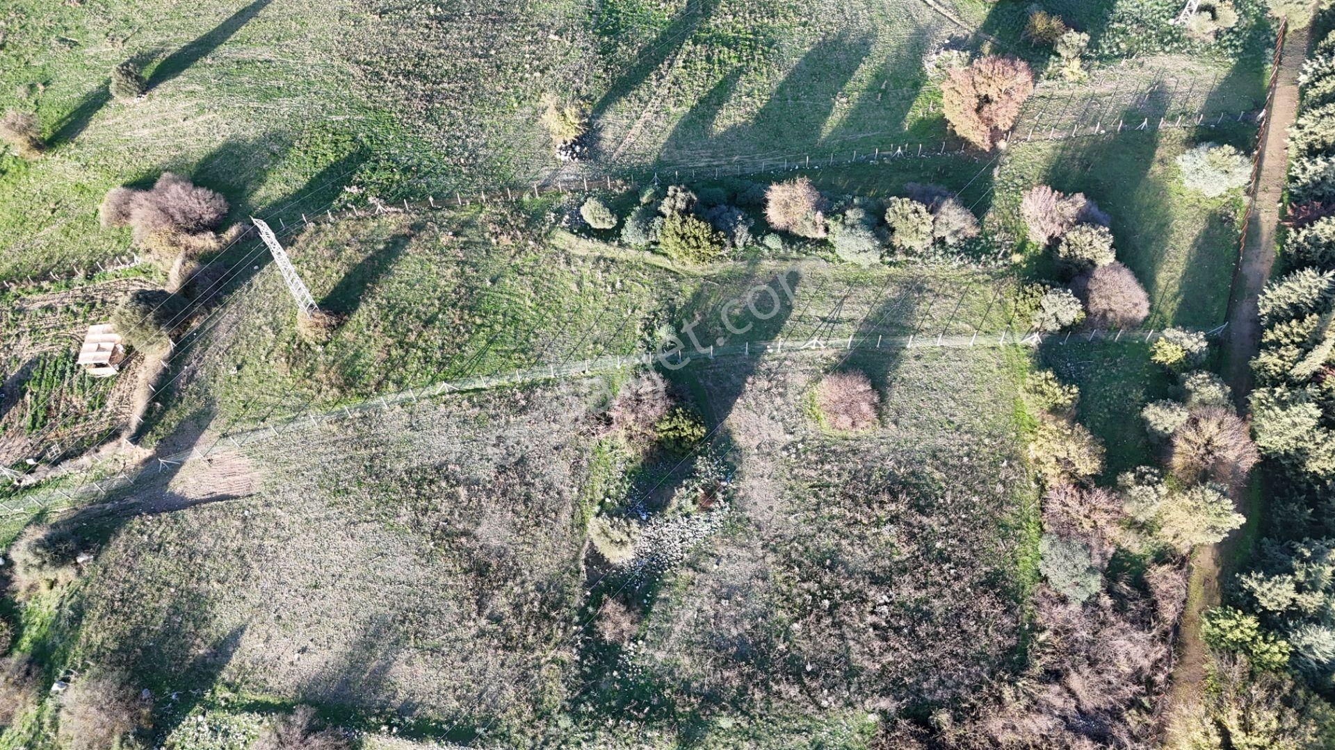 İzmir Menderes Şaşalda 4 Dönüm Taksimli Tepe Manzara Arsa - Görsel 14