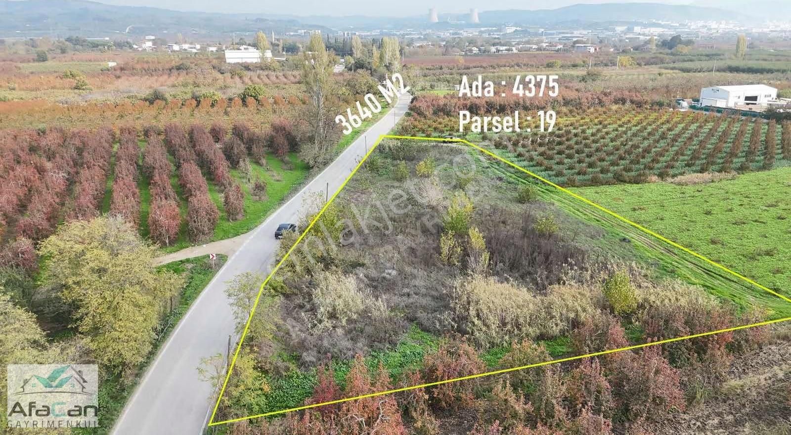 Bursa Osmangazi Armut Mah. Asfalta Cephe 3640 M² Satılık Bahçe - Görsel 12