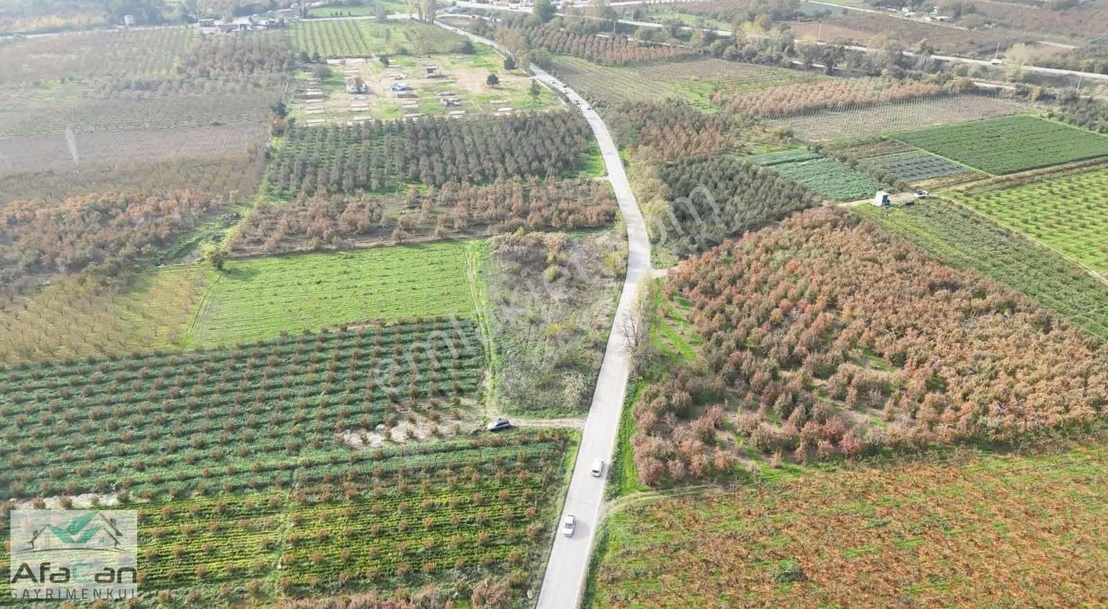 Bursa Osmangazi Armut Mah. Asfalta Cephe 3640 M² Satılık Bahçe - Görsel 24